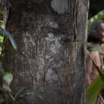 30_the_mentawai_joey_l