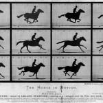 800px-The_Horse_in_Motion