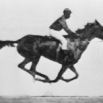 Muybridge_race_horse_animated
