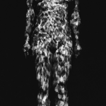 laurencedemaison04